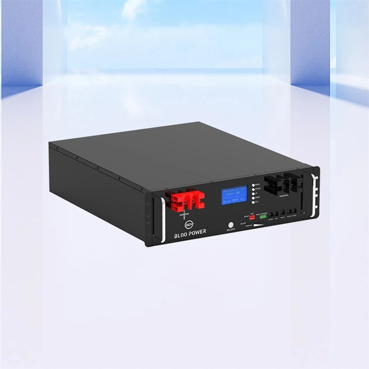 Compact Rack Mount Lifepo4 Lithium Ion Phosphate Battery With Customizable Service